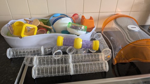 Hamster cage and - hamster,