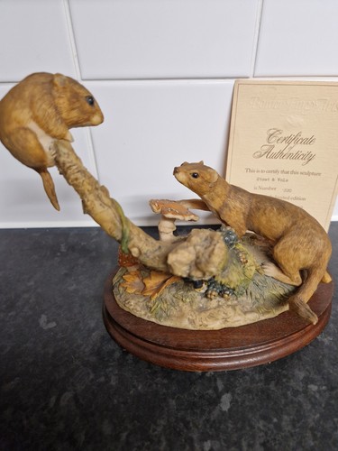 Border fine arts stoat - &, vole