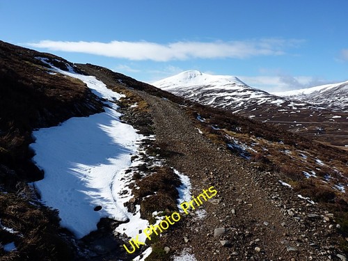 Photo 6x4 grouse shooters - photo, shooters'
