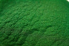 Spirulina Powder Fish Food For Brine Shrimp Fry, Cherry & Caridina Shrimp