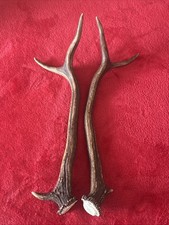 PAIR OF FANCY RED DEER ANTLERS