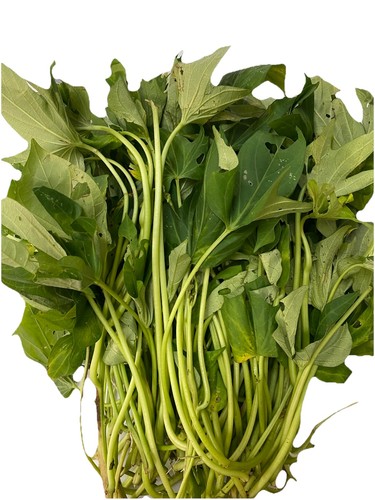 Fresh sweet potato - potato,