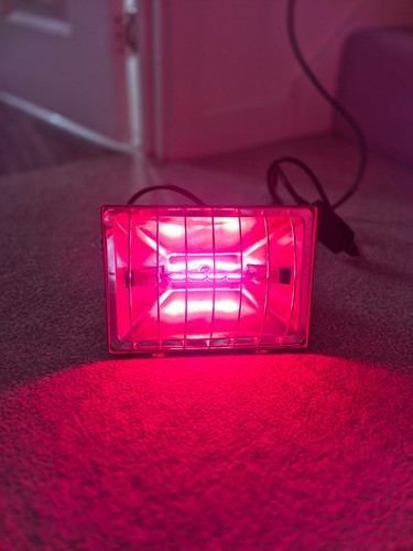 Heat lamp - heat,