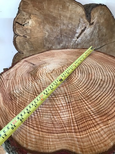 Rustic log slice - 23",
