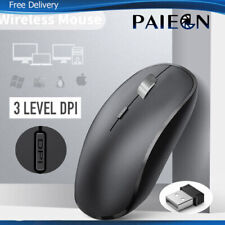 Paiegn BT 5.1/2.4Ghz/Type-C