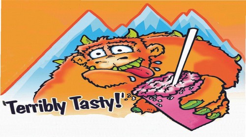Terribly tasty snowcone syrup - terribly,
