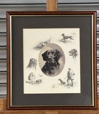 Beautiful Limited Edition Black Labrador Print By Mick Cawston 79/850
