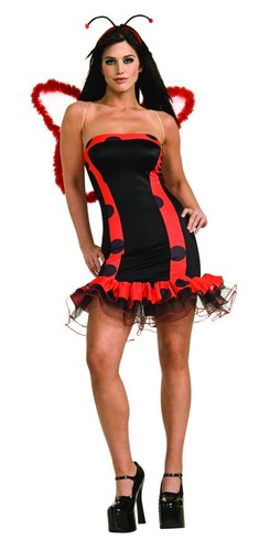 Rubies lady bug - bug, ladybug