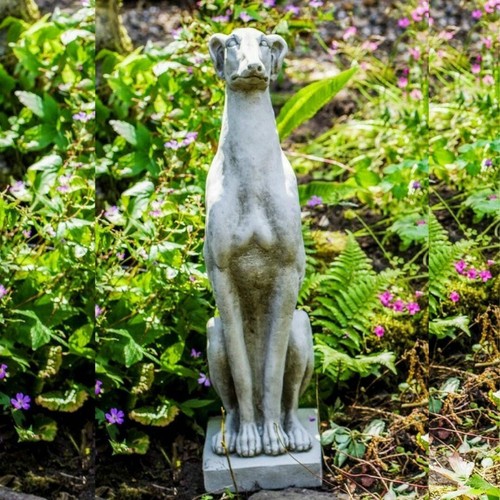 Sitting whippet solid - sitting,
