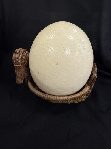Vintage ostrich egg duck - vintage, in