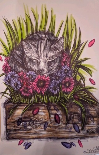 Sleeping cat flowers unframed - cat,