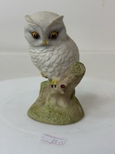 Aynsley Baby Owl Ornament 11cm