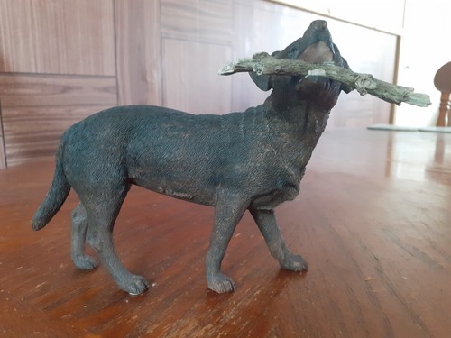 Leonardo collection dog with - leonardo,