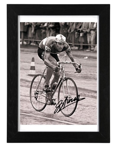 Eddy merckx signed autograph - eddy,
