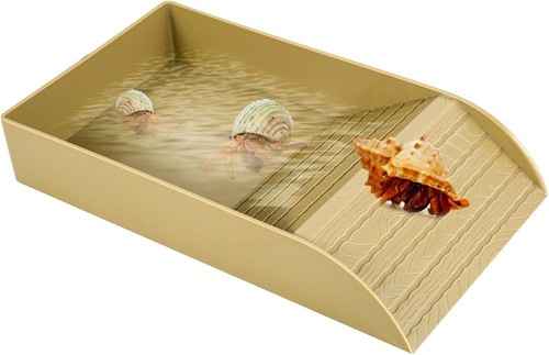 Tortoise water dish - tortoise,