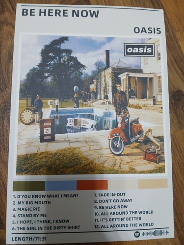 Oasis poster 30x20cm - oasis,