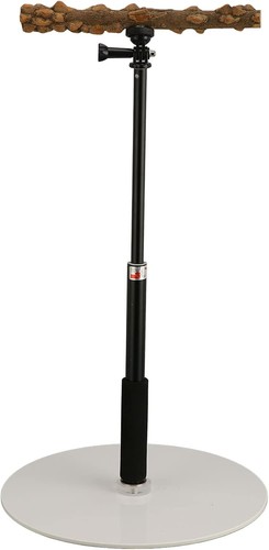 Parrot play stand with - play,