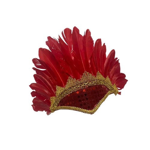 Large feather headdress - large,