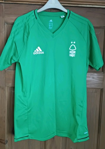 Nottingham forest 2016 2017 - nottingham, 2016/2017