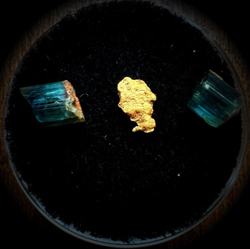 Scottish gold - &,