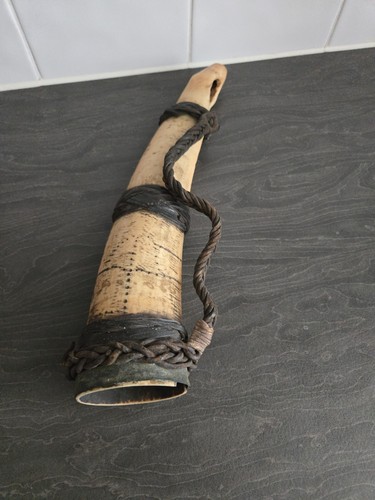 Vintage bull horn - horn, ornament