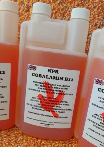 Vitamin b12 1000ml - 1000ml, racing