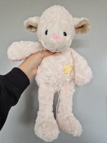 Little miracles costco lamb - miracles,