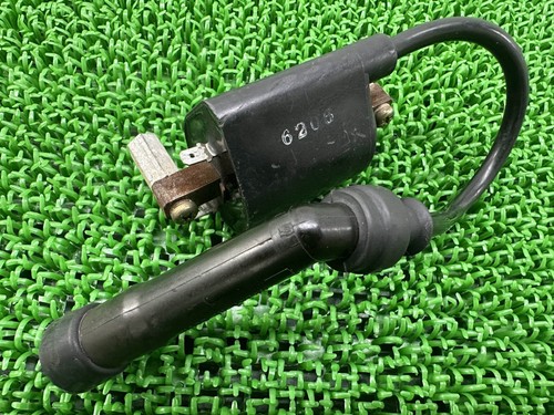 Suzuki goose 350 ignition coil - 350,