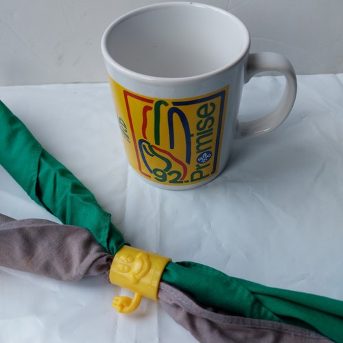 Boy scout mug promise - boy,