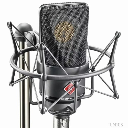 Neumann tlm102 large diaphragm - tlm102, large-diaphragm
