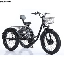 20" Electric Trike 48V 3 Wheel