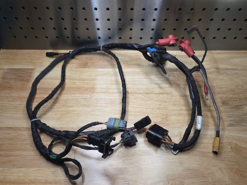 Used rotax max evo loom - max,