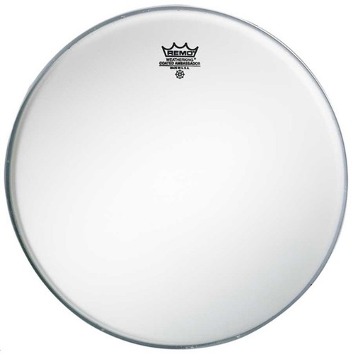 Remo ambassador - remo,