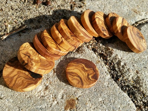 Olive wood branch - branch, discs