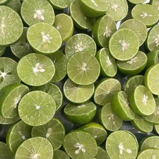 Citrus Tree Key Lime (Citrus aurantifolia) 5 Litre Pot x 1 by Thompson & Morgan