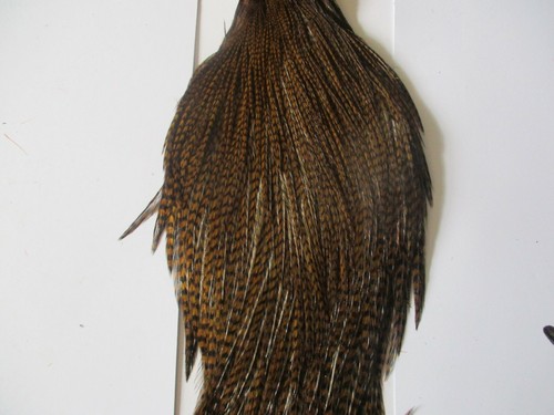 Premium cock cape neck - , dark