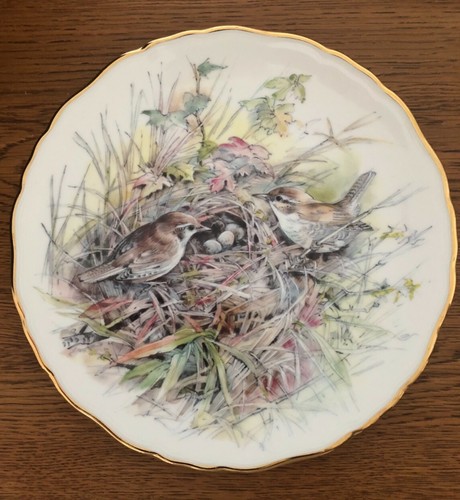 Royal albert england - albert, bone