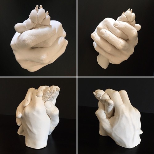 Hand paw casting kit - &,