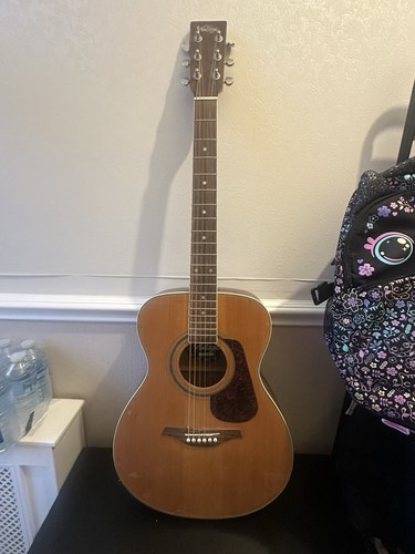 Vintage v300 acoustic - v300,