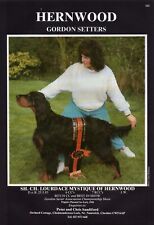 GORDON SETTER DOG BREED KENNEL ADVERT PRINT PAGE 1991 HERNWOOD KENNEL