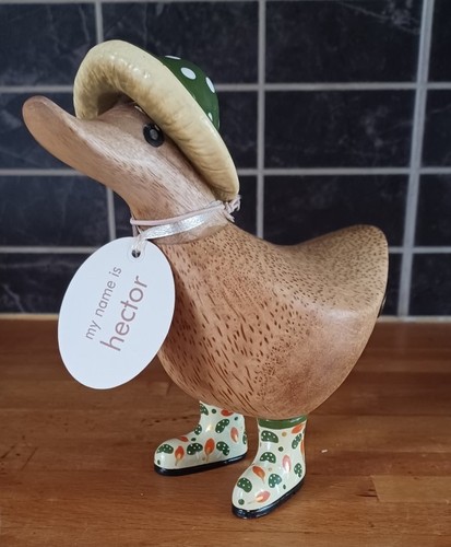 Dcuk hector fungi friends - dcuk,
