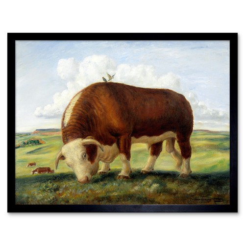 Curry ajax hereford bull cow - curry,