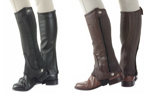 Shires leather half chaps - half,