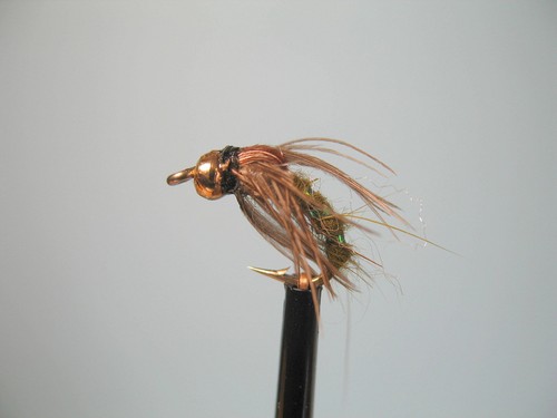 Gold head holy grail - head, nymph