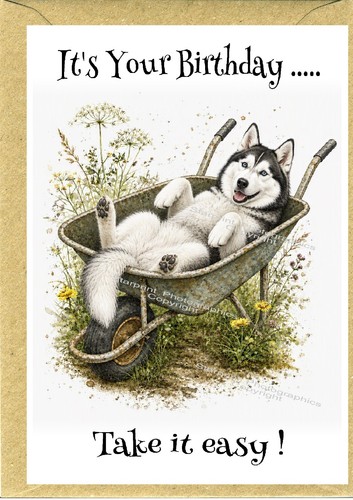 Siberian husky dog - husky, (4"