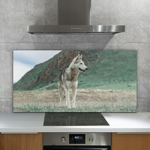 Glass kitchen splashback tile - glass,