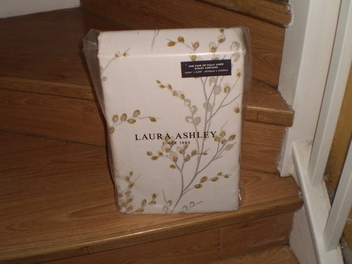 Laura ashley pussy - ashley,