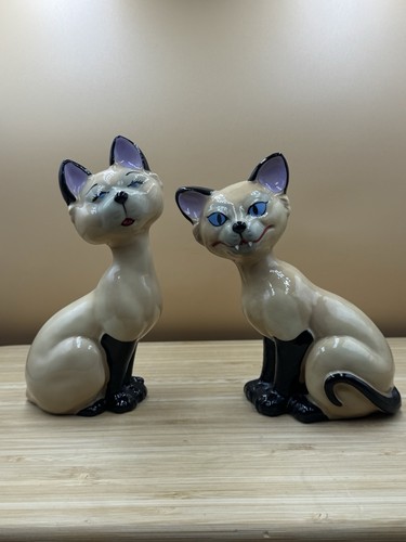 Wade and cats - cats, lady