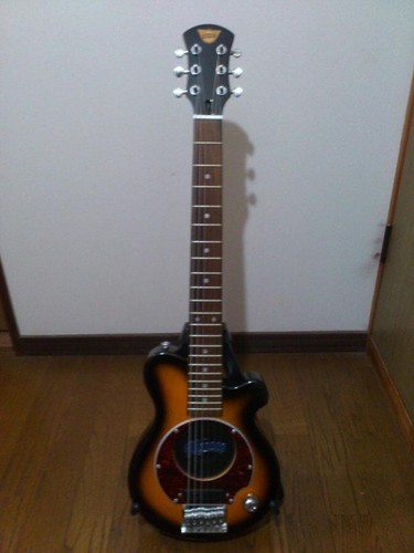 Pignose pgg 200 brown - brown, sunburst