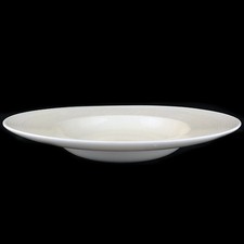 PAUL COSTELLOE LIMESTONE for Wedgwood PASTA BOWL 14" NEW NEVER USED England 